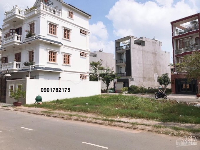 3 Lý Do Nền đầu Tư đất Thanh Lý Cuối Năm 2020 - Khu Tên Lửa Mở Rộng - Bình Tân 6