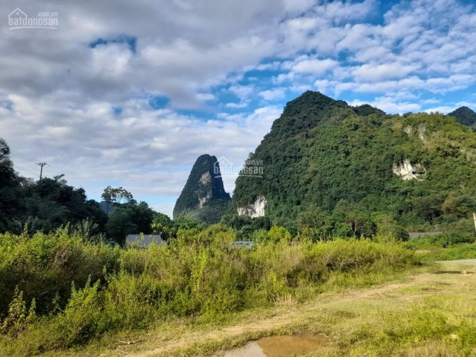 3,5ha Có Thổ Cư Cách đường Ql Chỉ Vài Trăm Mét Phù Hợp Làm Trang Trại, Trồng Cây Tại Lương Sơn, Hb 1