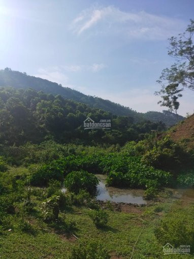 7ha đất Rsx Bám Mặt đường Nhựa Phù Hợp Làm Trang Trại Kết Hợp Nhà Vườn Tại Kim Bôi, Lương Sơn 1