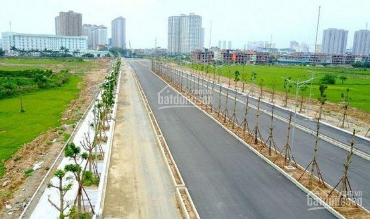 Bán Biệt Thự 200m2, Dự án Thanh Hà Mường Thanh Cienco5, Giá Cắt Lỗ Sâu, Hđmb, Vào Tên Trực Tiếp Cđt 2