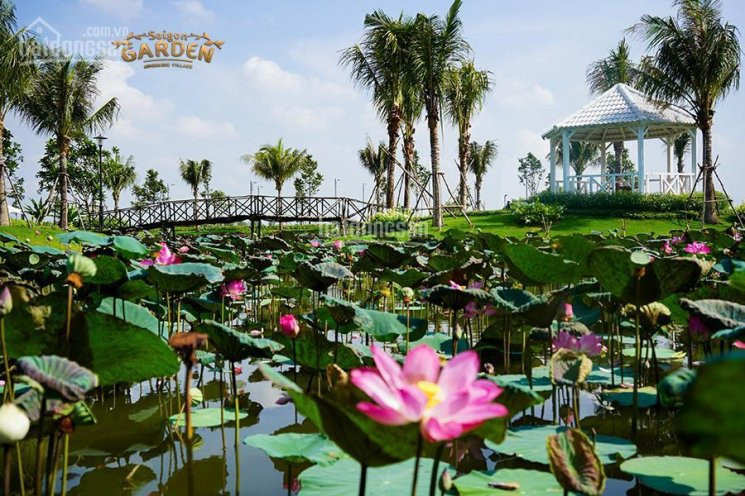 Biệt Thự Sân Vườn Bến Du Thuyền Ngay Q9 21 Tỷ/1000m2 Ck Khủng Giảm Còn 14 Tỷ/lôlh  0903343106 8