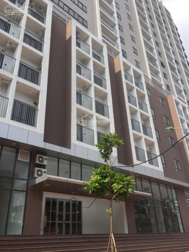 C1 Thành Công, Ba đình Bán Duplex  119m2-140m2-160m2, Ký Trực Tiếp Cđt, Lh 0396993328 Ms Trang 1