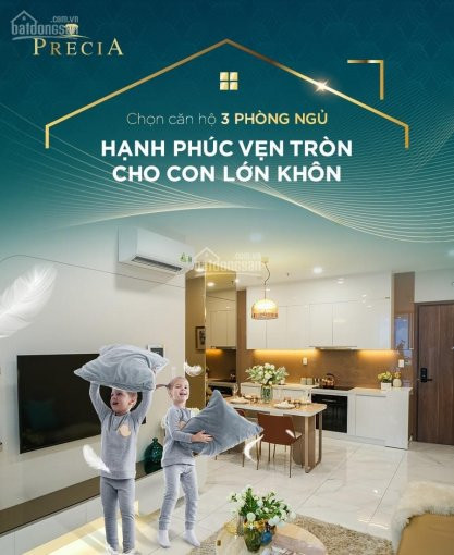 Ch Precia Q 2 Mạch Sống Phồn Vinh, Tái Tạo Năng Lượng, Nâng Tầm Cuộc Sống Tt 30% Nhận Nhà I/2020 1