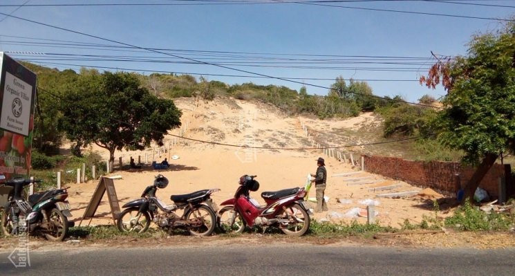 Chính Chủ Bán đất Mặt đường Lạc Long Quân (tiến Thành, Phan Thiết, Bình Thuận) 5