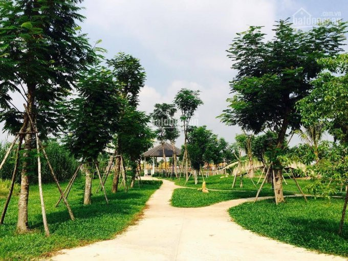 Chính Chủ Bán Gấp Căn Biệt Thự View Sông Park Riverside Dt 8*17m, Tt 10 Tỷ 4, Gọi 0909386398 5