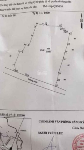 Chính Chủ Bán Nhanh 11000m2 đất Mặt Tiền Nhựa Xã đá Bạc, Châu đức, Vũng Tàu Giá Rẻ 4 Tỷ 1