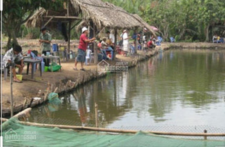 Chính Chủ Bán Nhanh 6 Sào View Hồ Câu Giải Trí, Cafe, Quán ăn Sân Vườn, Cách Chợ La Ngà 300m, đường Nhựa 1