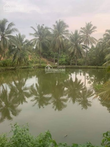 Chính Chủ Bán Nhanh 6 Sào View Hồ Câu Giải Trí, Cafe, Quán ăn Sân Vườn, Cách Chợ La Ngà 300m, đường Nhựa 5