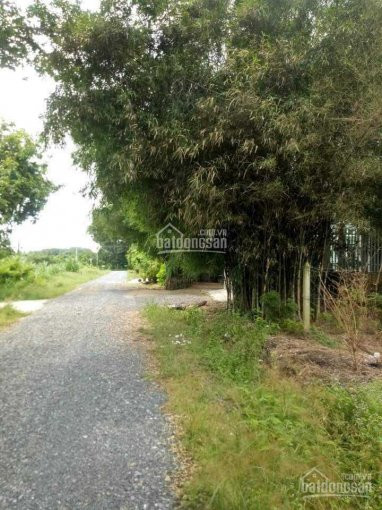 Chính Chủ Bán Nhanh đất Xã An Phú, Huyện Củ Chi 5