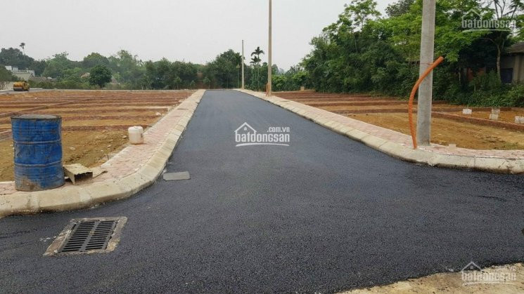 Chính Chủ Bán Nhanh đất Xã đồng Trúc  Hạ Bằng : 73m, 80m, 85m, 90m, 120m, 124m Full Thổ Cư Giá Chỉ 7tr/m 2