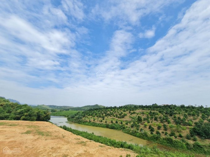 Chính Chủ Bán Nhanh Gấp 1,7ha đất Thổ Cư Liền Kề đất Rừng Sx View Núi Non Rất đẹp Huyện Lương Sơn 1