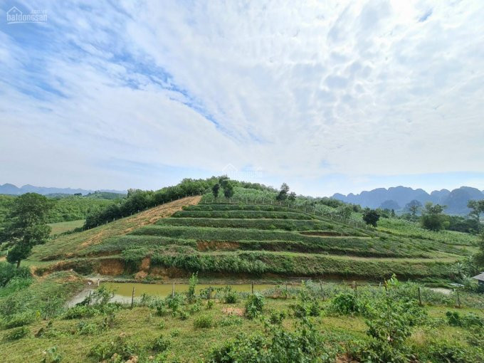 Chính Chủ Bán Nhanh Gấp 1,7ha đất Thổ Cư Liền Kề đất Rừng Sx View Núi Non Rất đẹp Huyện Lương Sơn 2