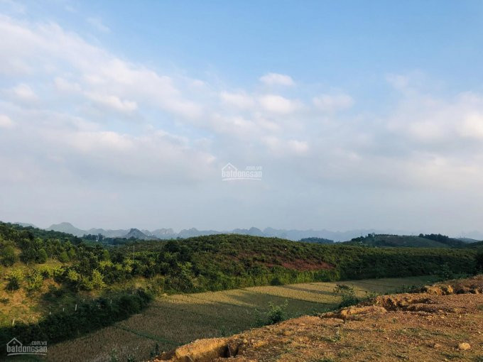 Chính Chủ Bán Nhanh Gấp 1,7ha đất Thổ Cư Liền Kề đất Rừng Sx View Núi Non Rất đẹp Huyện Lương Sơn 6