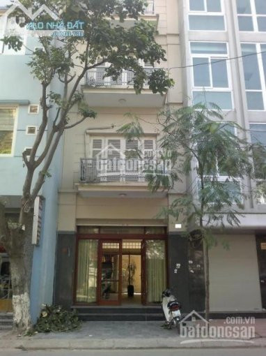 Chính Chủ Bán Nhanh Khách Sạn Mt Bùi Viện Q1, 4,3x21m, Hầm 11 Lầu, 29pn, 69 Tỷ 1