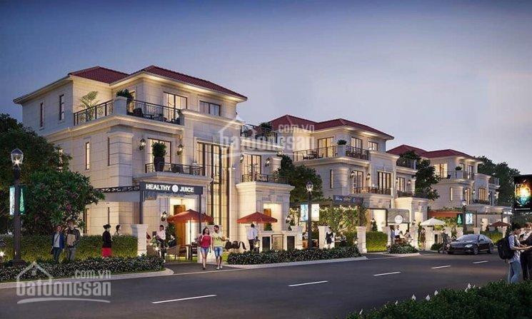 Chính Chủ Bán Nhanh Lỗ Biệt Thự Swan Park 350 Triệu Ngay Hồ Bơi Clubhouse Sang Trọng Thuộc Trung Tâm Tp Nhơn Trạch 1