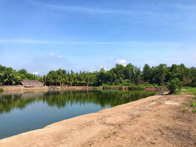 Chính Chủ Bán Nhanh Lô đất 1008m2 Nông Nghiệp đường Nguyễn Văn Tạo Nối Dài Cạnh Harbour View 3