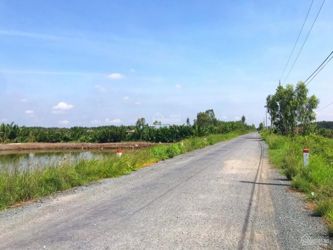 Chính Chủ Bán Nhanh Lô đất 1008m2 Nông Nghiệp đường Nguyễn Văn Tạo Nối Dài Cạnh Harbour View 4