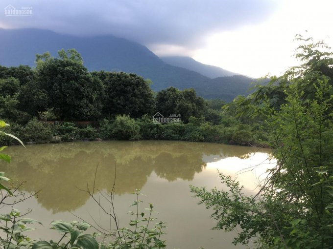 Chính Chủ Bán Nhanh Lô đất Nghỉ Dưỡng Yên Bài Lưng Tựa Núi View Cánh đồng Trước Mặt Có Ao 3040m2 Siêu đẹp 1