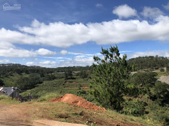 Chính Chủ Bán Nhanh Lô đất Xây Dựng 420m2 View đẹp Mê Ly - Măng Lin, đà Lạt Ngay Resort Lý Nhã Kỳ -  Chỉ 4,7 Tỷ 1