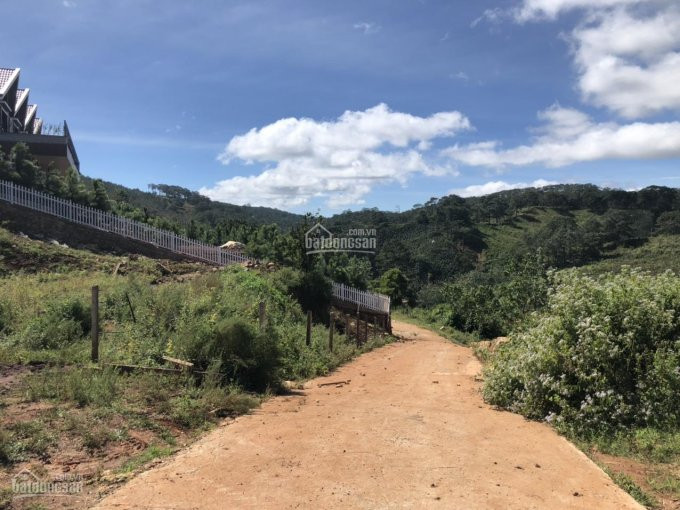 Chính Chủ Bán Nhanh Lô đất Xây Dựng 420m2 View đẹp Mê Ly - Măng Lin, đà Lạt Ngay Resort Lý Nhã Kỳ -  Chỉ 4,7 Tỷ 4