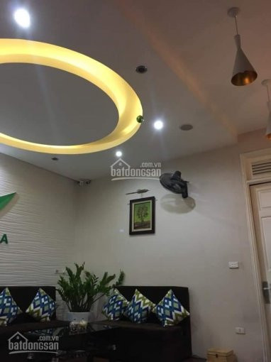 Chính Chủ Bán Nhanh Nhà Mp Giảng Võ -ba đình 138 M2x3tầng, Mt4m Vị Trí Kinh Doanh Cực đẹp Giá 369 Tỷ 4