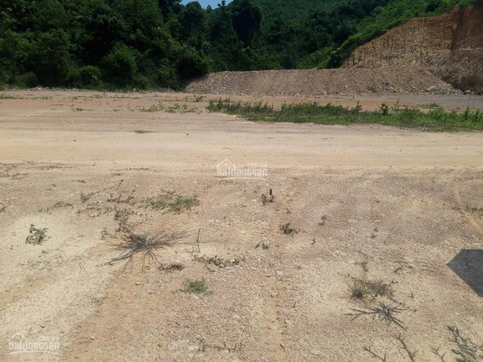 Chính Chủ Bán Nhanh Nhanh 4,5ha Có Cả đất ở, Phẳng Lỳ Như Sân Bay Tại Cao Sơn, Lương Sơn, Hòa Bình 6,3 Tỷ 4