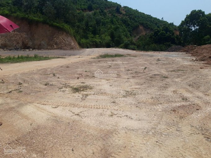 Chính Chủ Bán Nhanh Nhanh 4,5ha Có Cả đất ở, Phẳng Lỳ Như Sân Bay Tại Cao Sơn, Lương Sơn, Hòa Bình 6,3 Tỷ 5
