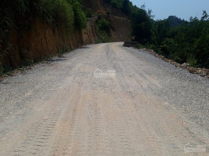 Chính Chủ Bán Nhanh Nhanh 4,5ha Có Cả đất ở, Phẳng Lỳ Như Sân Bay Tại Cao Sơn, Lương Sơn, Hòa Bình 6,3 Tỷ 6
