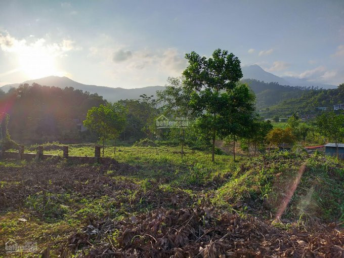 Chính Chủ Bán Nhanh Nhanh Lô 1265m2 Tại Yên Bài - Ba Vì View Cánh đồng Và Núi, Nằm Trong Khuôn Viên Nghỉ Dưỡng 2