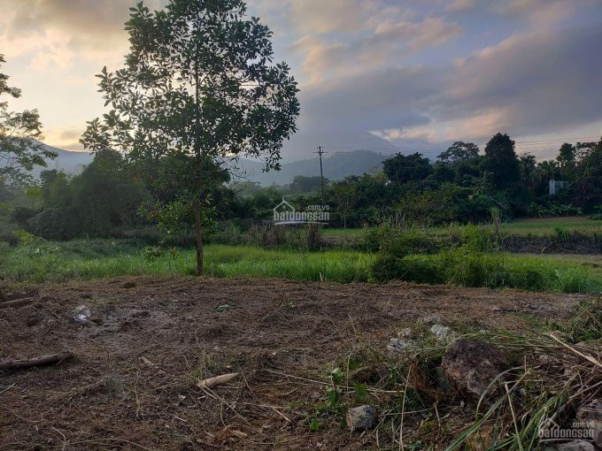 Chính Chủ Bán Nhanh Nhanh Lô 1265m2 Tại Yên Bài - Ba Vì View Cánh đồng Và Núi, Nằm Trong Khuôn Viên Nghỉ Dưỡng 3