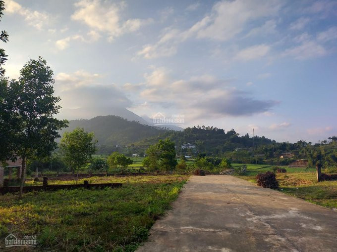 Chính Chủ Bán Nhanh Nhanh Lô 1265m2 Tại Yên Bài - Ba Vì View Cánh đồng Và Núi, Nằm Trong Khuôn Viên Nghỉ Dưỡng 4