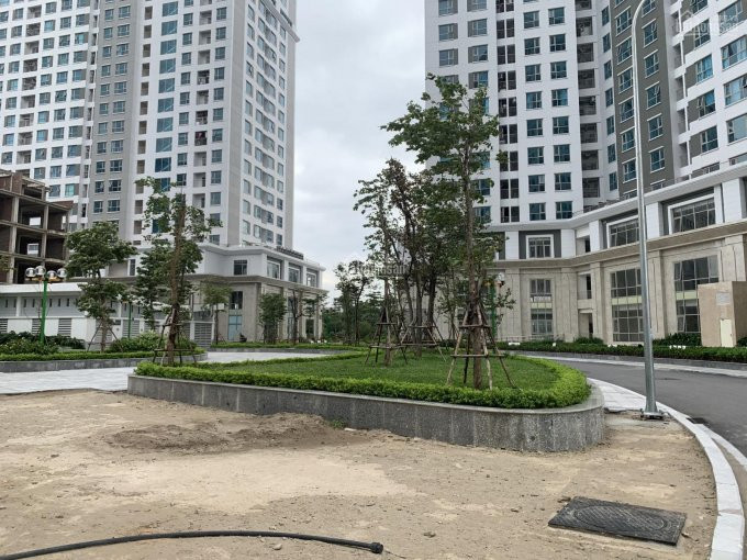 Chính Chủ Bán Nhanh Shop Khối đế Sàn Thương Mại Chung Cư Ia20 Ciputra Sổ đỏ Lâu Dài Giá Tốt Liên Hệ 0908426286 6