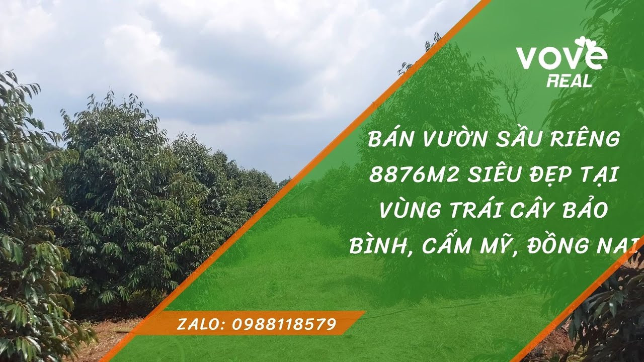 Chính Chủ Bán Nhanh Vườn Sầu Riêng 8876m2 Siêu đẹp, Giá 6,9 Tỷ Tại Vùng Trái Cây Bảo Bình, Cẩm Mỹ, đồng Nai 1