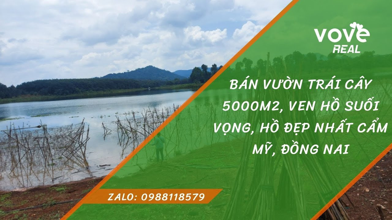 Chính Chủ Bán Nhanh Vườn Trái Cây 5000m2, Ven Hồ Suối Vọng, Hồ đẹp Nhất Cẩm Mỹ, đồng Nai 1