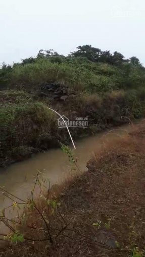 Chính Chủ Cần Bán 6,5ha Trang Trại Bắc Bình Bình Thuận, Trên đất Có Xoài 5 Năm, Có Thương Lượng 5