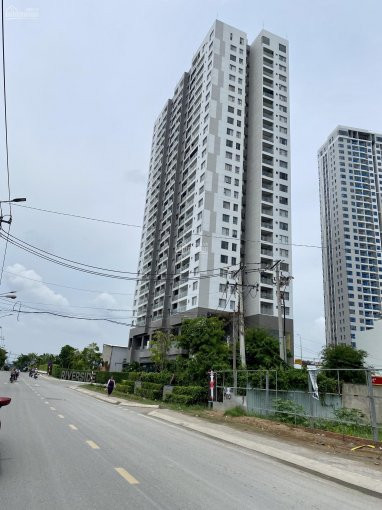 Chính Chủ Cần Bán đất Sổ đỏ Mặt Tiền đường đào Trí Ngay Gần Chung Cư An Gia Riverside, Dt: 919m2 Giá 40 Tỷ 1