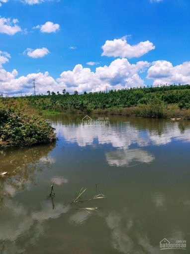 Chính Chủ Cần Bán Gấp Lô Nằm Ngay Ql20 View đồi Chè, Resort đôi Dép Gần Tất Cả Tiện ích: Ngân Hàng, Cây Xăng 1