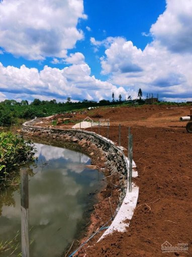 Chính Chủ Cần Bán Gấp Lô Nằm Ngay Ql20 View đồi Chè, Resort đôi Dép Gần Tất Cả Tiện ích: Ngân Hàng, Cây Xăng 7