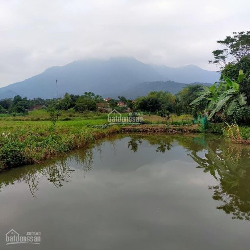 Chính Chủ Cần Bán Lô đất Vân Hoà 720m đất ở 200m View Cánh đồng Có Thể Mở Rộng Diện Tích 3