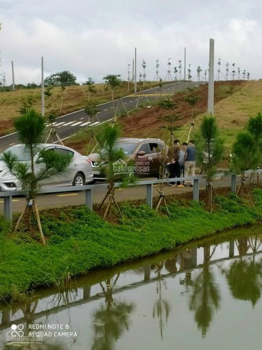 Chính Chủ Cần Bán Lô đất View Hồ Của Park Hill, Giá Tốt Sổ Riêng Cơ Sở Hạ Tầng Hoàn Chỉnh 3