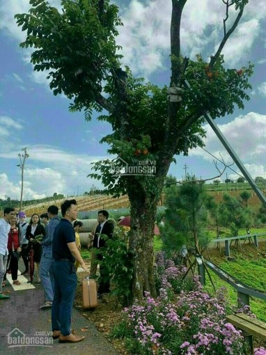 Chính Chủ Cần Bán Lô đất View Hồ Của Park Hill, Giá Tốt Sổ Riêng Cơ Sở Hạ Tầng Hoàn Chỉnh 6