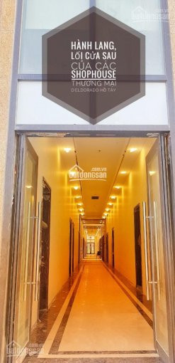 Chính Chủ Cần Bán Rất Gấp 2 Tầng Shophouse - Tân Hoàng Minh - Hồ Tây (106,75m2/sàn), Giá 17 Tỷ (cao 7,2m) 3