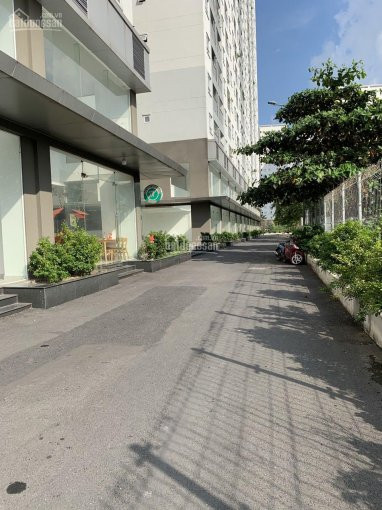 Chính Chủ Cần Bán Shophouse Cs11 Giá Rẻ Nhận Nhà Kinh Doanh Hoặc Cho Thuê Ngay 4