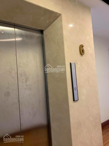 Chính Chủ Cần Bán Tòa Nhà 8 Tầng X 145m2, Thang Máy, Kinh Doanh Cực Tốt, Giá 39 Tỷ 5