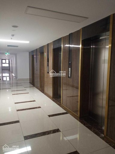 Chính Chủ Cần Cho Thuê Căn Hộ Goldora Plaza Giá Siêu Rẻ, 2pn, 1 Wc Liên Hệ Ngay 0936549292 3