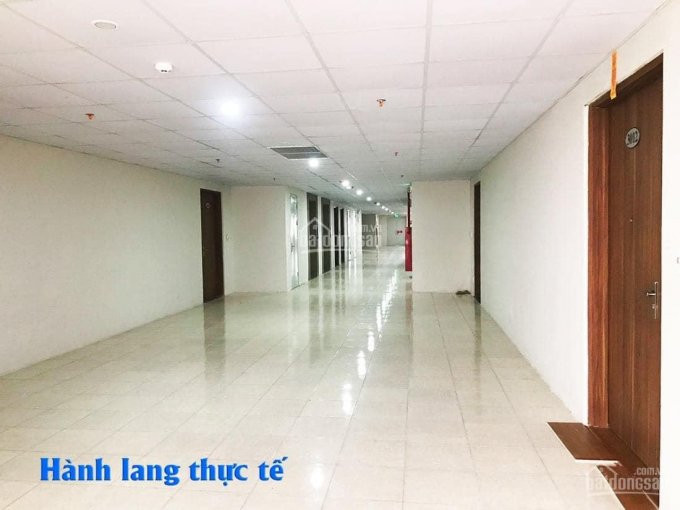 Chính Chủ Cần Nhượng Lại 2 Suất Mua 70m2 Tại Dự án Tht New City, Hoài đức, Hà Nội 2