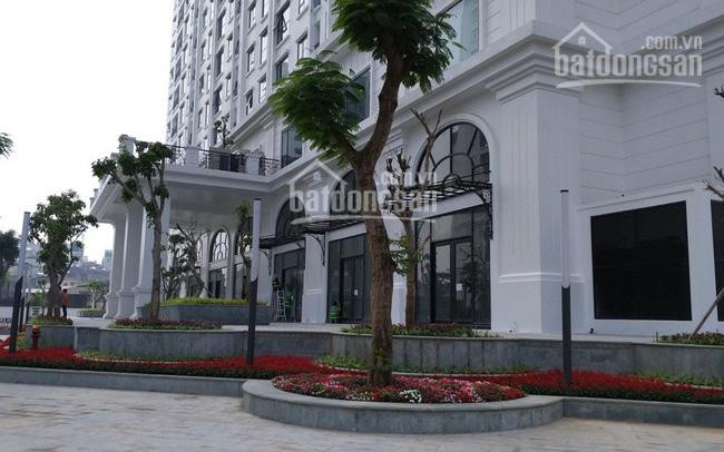 Chính Chủ Cần Sang Tên Nhanh Căn Hộ Eco Lake View, T1503, 105m2, 3pn Giá 26tr/m2, Lh 0961000870 C My 3