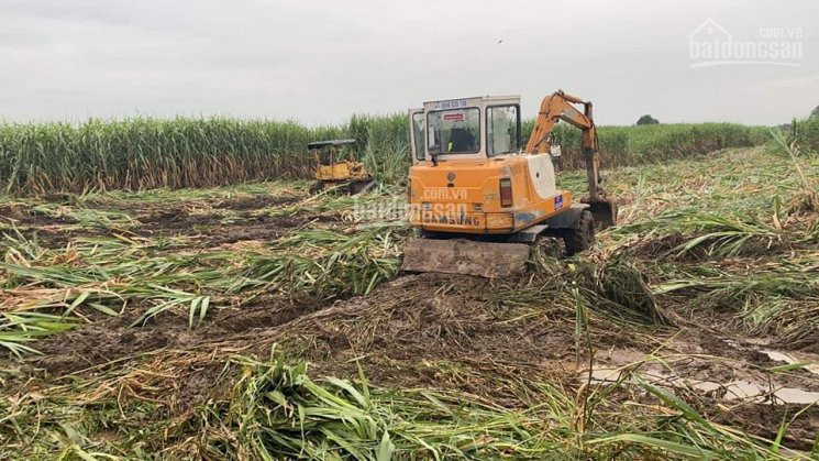 Chính Chủ Cần Tiền Bán đất Vườn Của Gia đình Giá 750tr/sào, Gần Khu Công Nghiệp Hưng Thịnh, Sổ Hồng 1