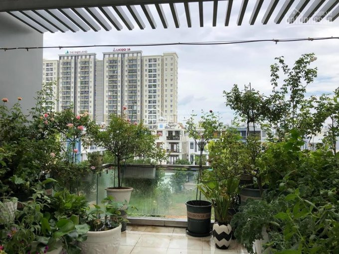 Chính Chủ Cho Thuê Nhanh Căn Hộ The Parkland 2pn, Giá 6 Triệu/th, Nhà Mới Sạch Gần Chợ Hiệp Thành 5