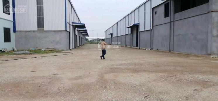 Chính Chủ Cho Thuê Nhanh Gấp Khu Nhà Xưởng 6000m2, Tổng Khuôn Viên 12000m2 Tại Thái Bình 1